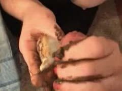 Versaute Blondine lässt sich das Essen nackt schmecken